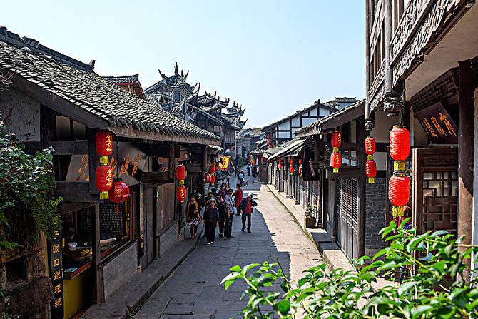 动物帮帮忙保卫家园